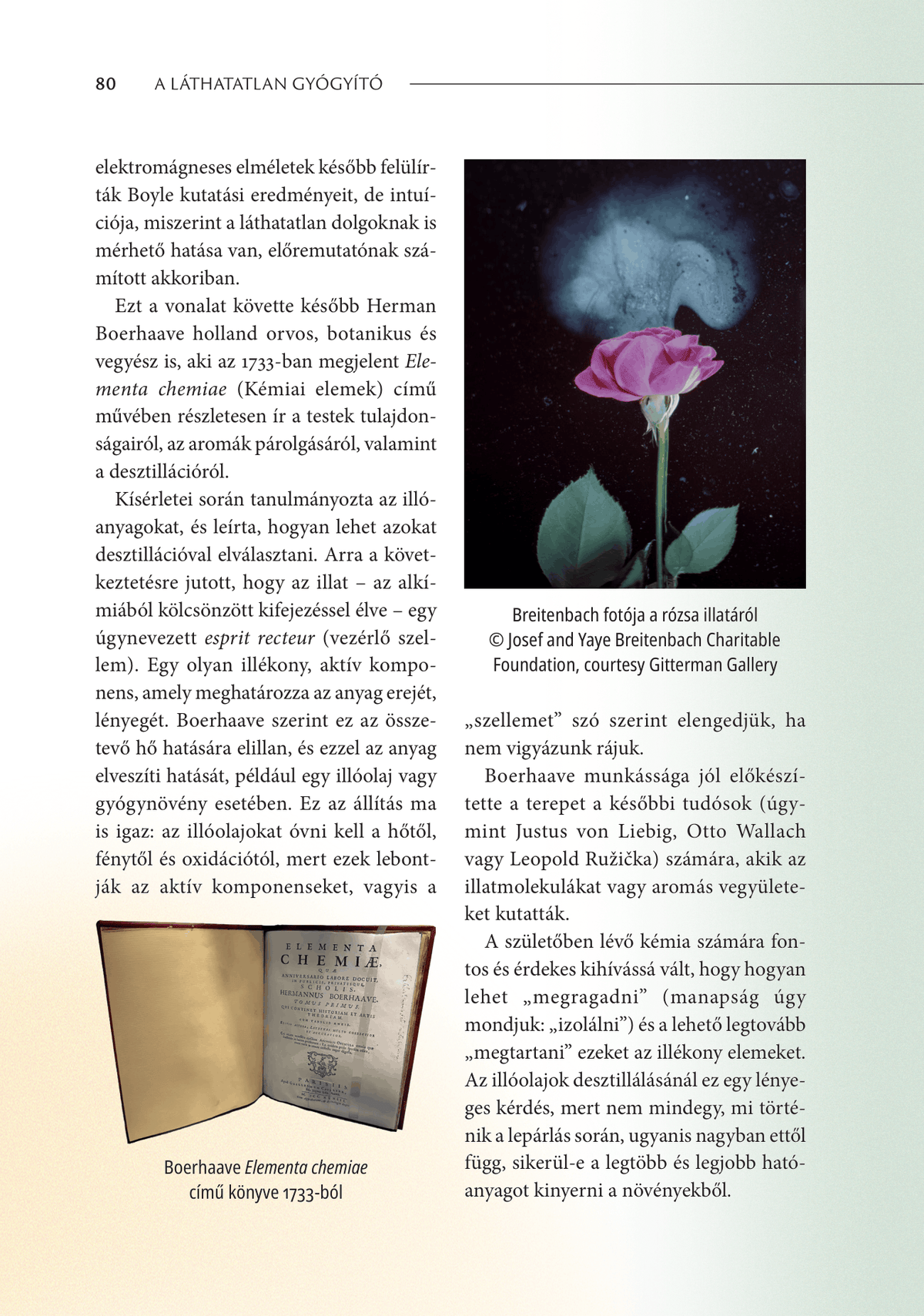 Beleolvasó — 6. oldal