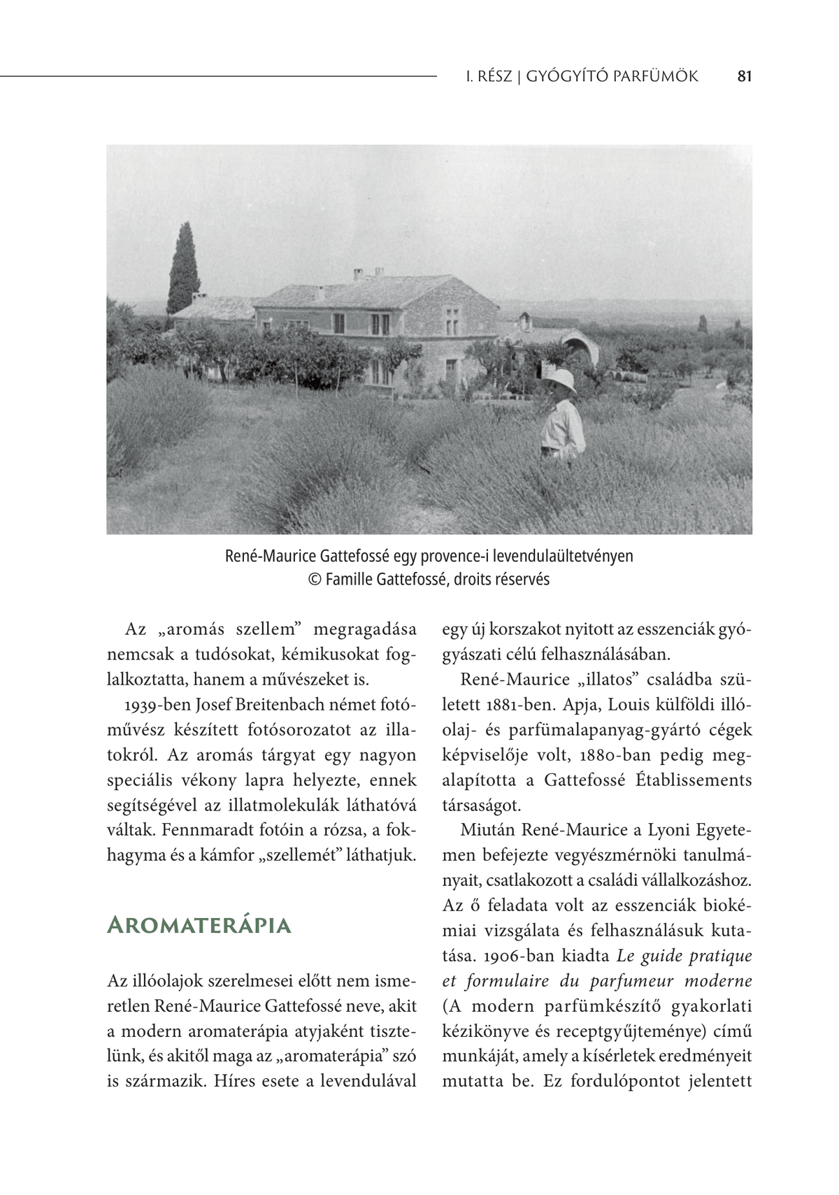 Beleolvasó — 7. oldal