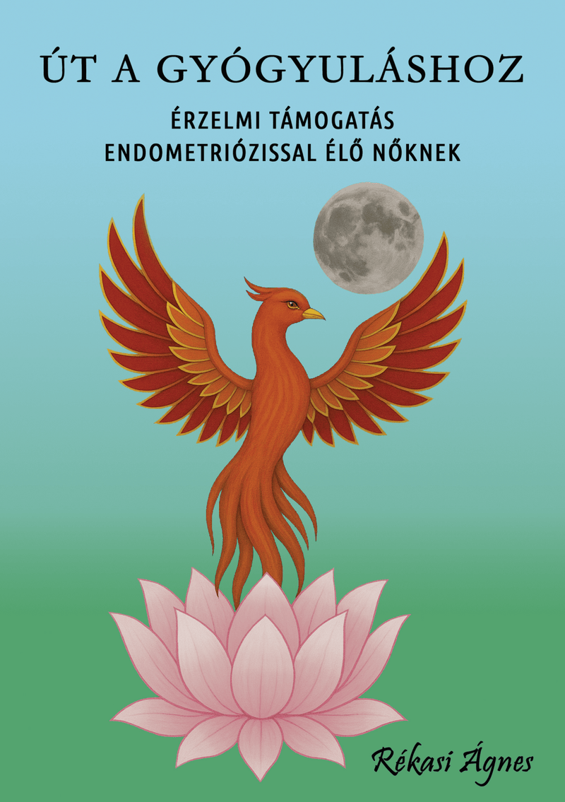 Út a gyógyuláshoz - Érzelmi támogatás endometriózissal élő nőknek – borító