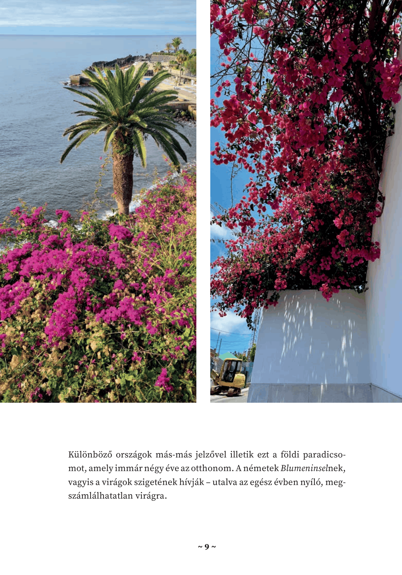 Beleolvasó — 6. oldal